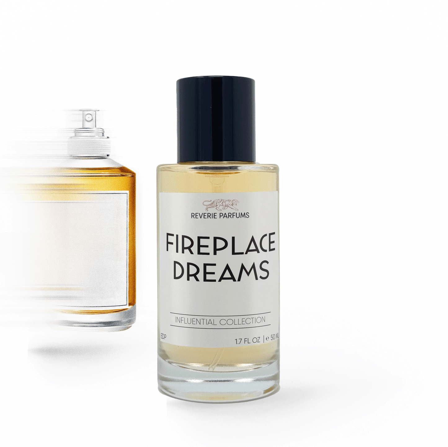 Fireplace Dreams