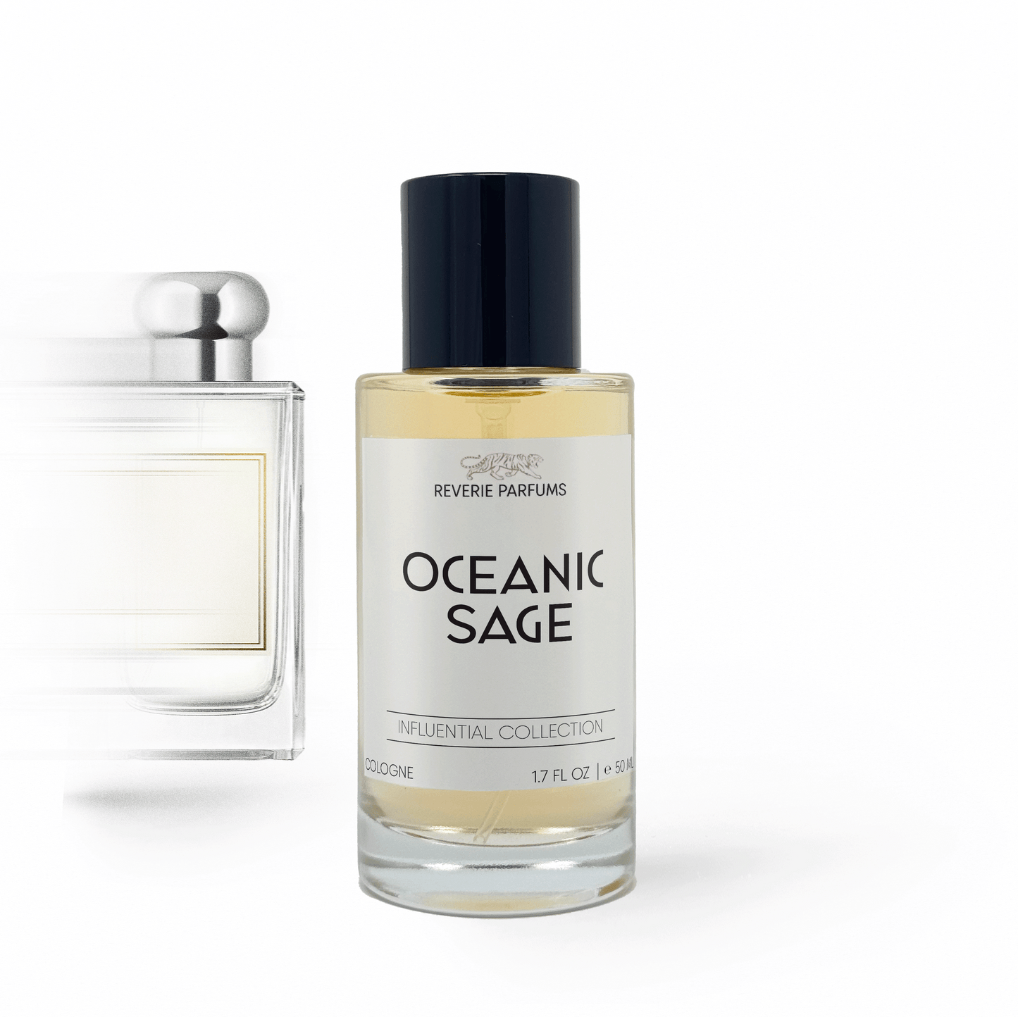 Oceanic Sage image 0