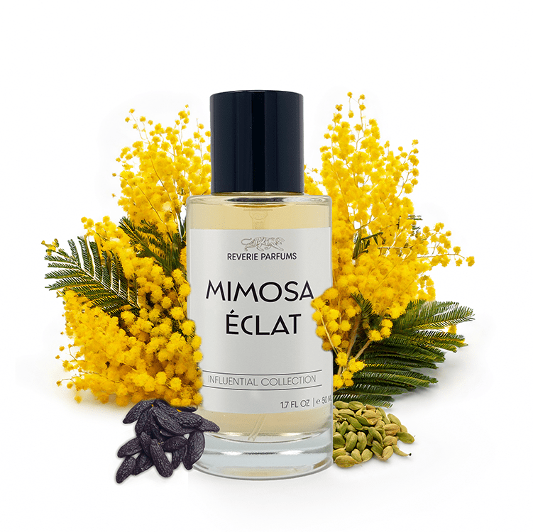 Mimosa Éclat image 1
