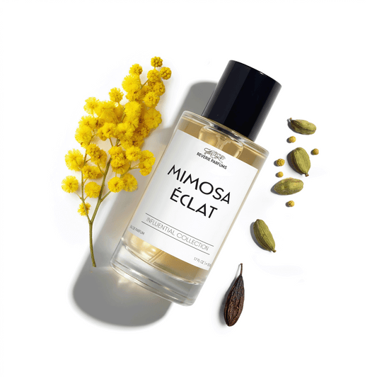 Mimosa Éclat